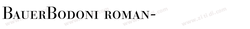 BauerBodoni roman字体转换